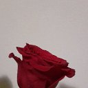 ��� ������ ��� ����� ���� ����... �� ������� ���� ����������