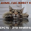 ���� �������, ������-������� - ��������� 15 ���� 2016 � ������ ���� ����������
