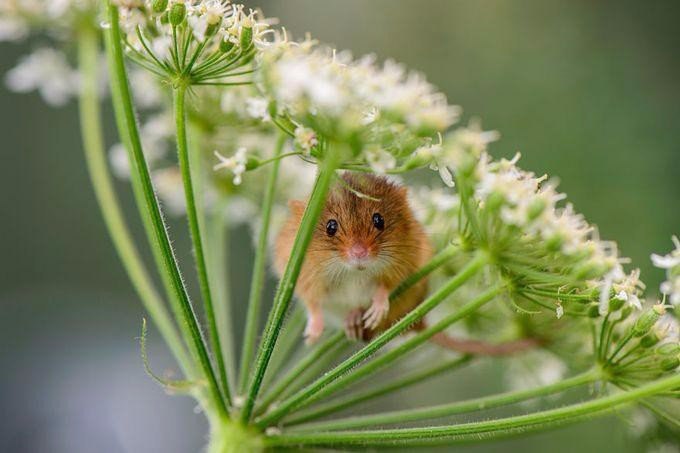  :).#animal@travel.blog - 5