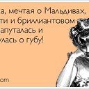 ���� ���������, �����-���������, 27 ��� - ��������� 6 ���� 2016 � ������ ��������