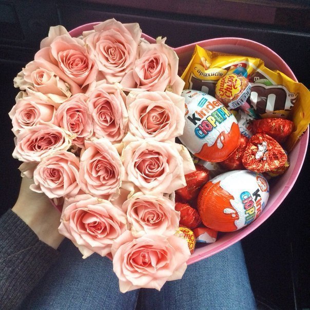 3  -      Kinder.  ,   