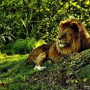 ���� ������, ������, 61 ��� - ��������� 10 ������� 2016 � ������ ���� ����������