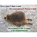 ���� �����, ������ - ��������� 27 ������ 2016 � ������ ���� ����������