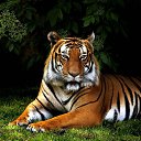 ���� �����, ������, 41 ��� - ��������� 8 ��� 2016 � ������ ���� ����������