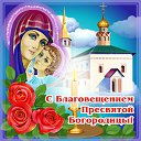 ���� �����, ����� - ��������� 7 ������ 2016 � ������ �������� ��������