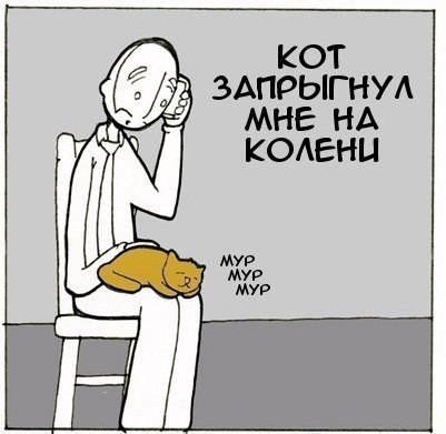 Без кота и жизнь не та - 26 марта 2016 в 02:32 - 4