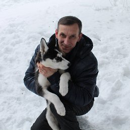 �������, �����������