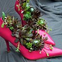 ���� ������ �����, �����������, 61 ��� - ��������� 16 ����� 2016 � ������ ������ ��������