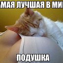 ���� ������, ������, 44 ���� - ��������� 2 ���� 2016 � ������ ���� ����������
