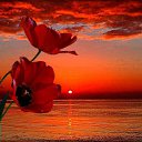 ���� Eric, ����, 61 ��� - ��������� 29 ������ 2016 � ������ �Beauty of World�