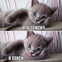 ���� �����, �������, 33 ���� - ��������� 2 ������ 2016 � ������ ���� ����������