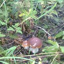 ���� ��������, ������, 64 ���� - ��������� 14 ��� 2016 � ������ ���� �����.�