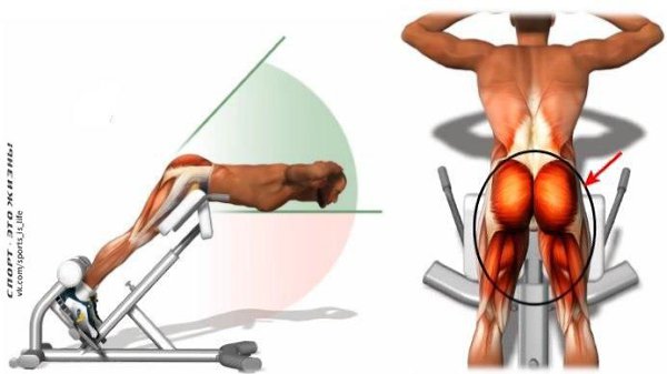 .    .        ... - 4