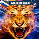 ���� ����, ������������, 24 ���� - ��������� 1 ���� 2016 � ������ ���� ����������