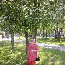 ���� ������, ��������� - ��������� 18 ��� 2016 � ������ ���� ����������