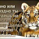 ���� �������, ������, 57 ��� - ��������� 31 ���� 2016 � ������ ���� ����������