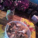 ���� ������, �������, 72 ���� - ��������� 30 ���� 2016 � ������ ���� ����������