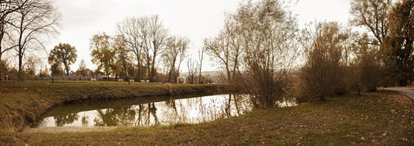 Усадьба Д.В. Веневитинова, Воронежская область. Россия - 8
