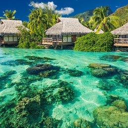 ���� ϸ��, ����� - ��������� 15 ���� 2016