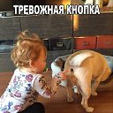 ���� Vellvelll, ������-��-����, 43 ���� - ��������� 2 ������� 2016 � ������ ������ ��������
