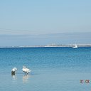 ���� �����, ���� - ��������� 28 ����� 2016 � ������ �������������� ����