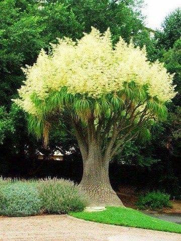 ...���������� �� ����� ������������ ������� - 2