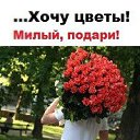 ���� �������, ��������, 43 ���� - ��������� 20 ���� 2016 � ������ ���� ����������