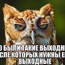 ���� �������, ������, 46 ��� - ��������� 18 ���� 2016