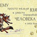 ���� ������, ���, 50 ��� - ��������� 31 ����� 2016 � ������ ������ ��������