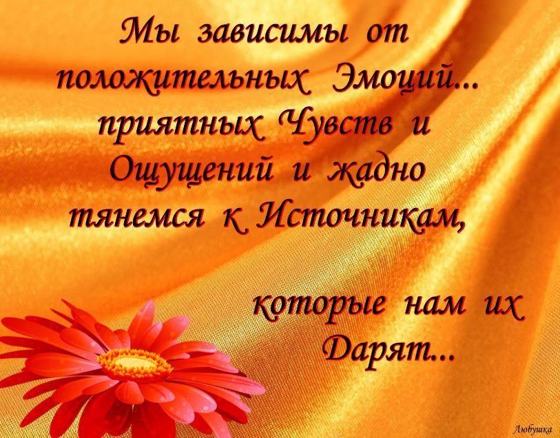...[a]_voe_so Le... - 1  2016  13:16