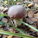07.09.2016 �. �� ������� ������ �����. ����� 2016�