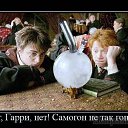 ���� ������, ������������, 66 ��� - ��������� 14 ���� 2016 � ������ ������ ��������