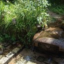 � ���� ����� ������ ��������,
���� ���� ����� ������.
� ������ ������ ���������
�������� ������� �����.
��� ���� ���� ������ �����
��� ������� �� ���� ����
����� ������ � ������
�������� ���� � ���� �����. �� ������� ���� ����������