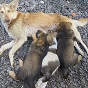 ���� �������, ������ - ��������� 23 ������� 2016 � ������ ������ ��������