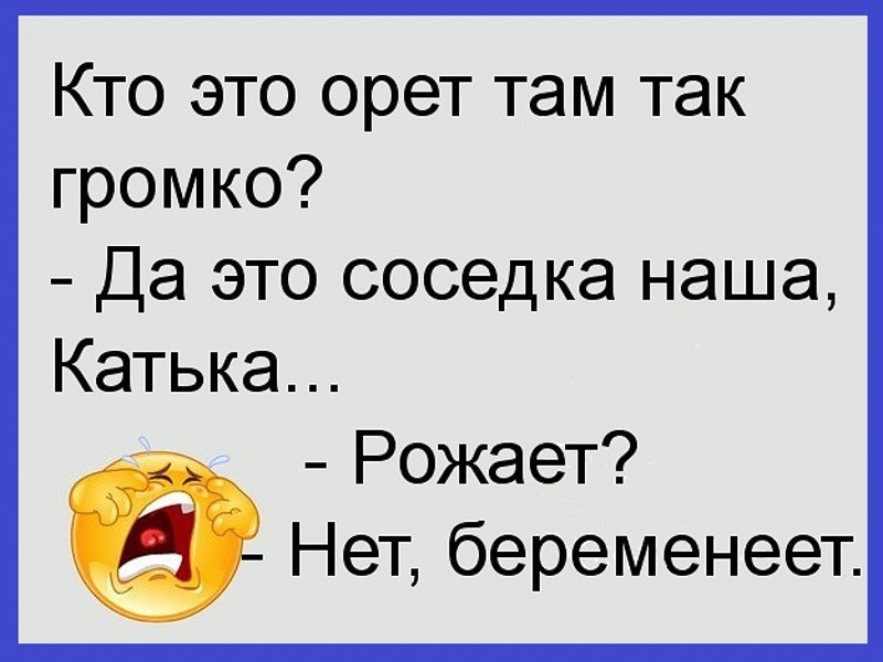 Там закричать. Смешные статусы для ватсапа. Весёлые статусы для ватсапа. Прикольные статусы для ватсапа смешные. Статус анекдот прикольные.