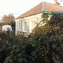 ���� ������, �����������, 61 ��� - ��������� 10 ���� 2016 � ������ ���� ����������