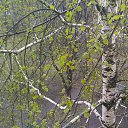 ���� Alexander, ������, 79 ��� - ��������� 27 ������ 2016 � ������ ���� ����������