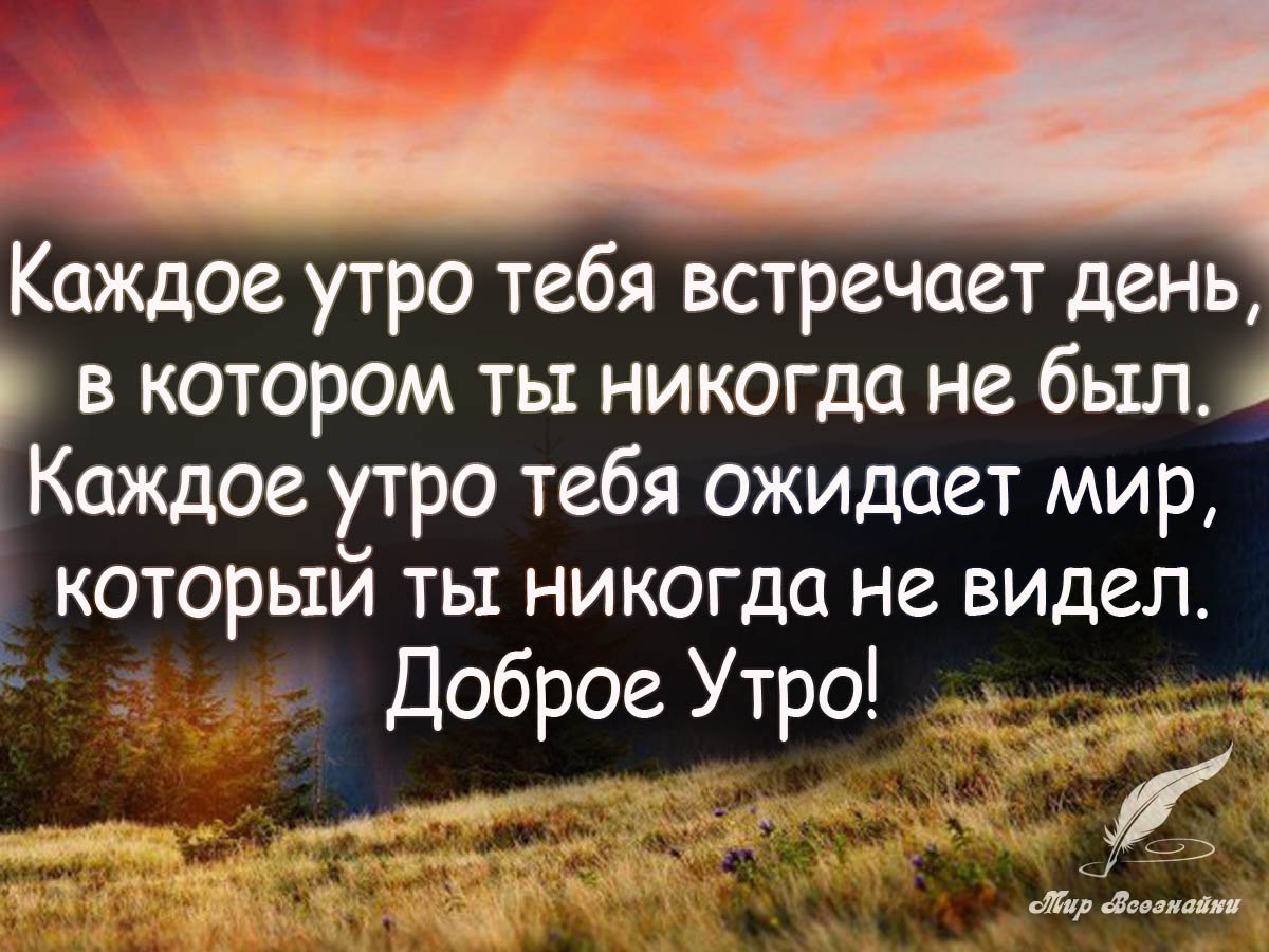 Хочешь читать каждый день новые избранные цитаты , вступай к ... | Быстров  - Коротко о Главном | Фотострана | Пост №1035732938