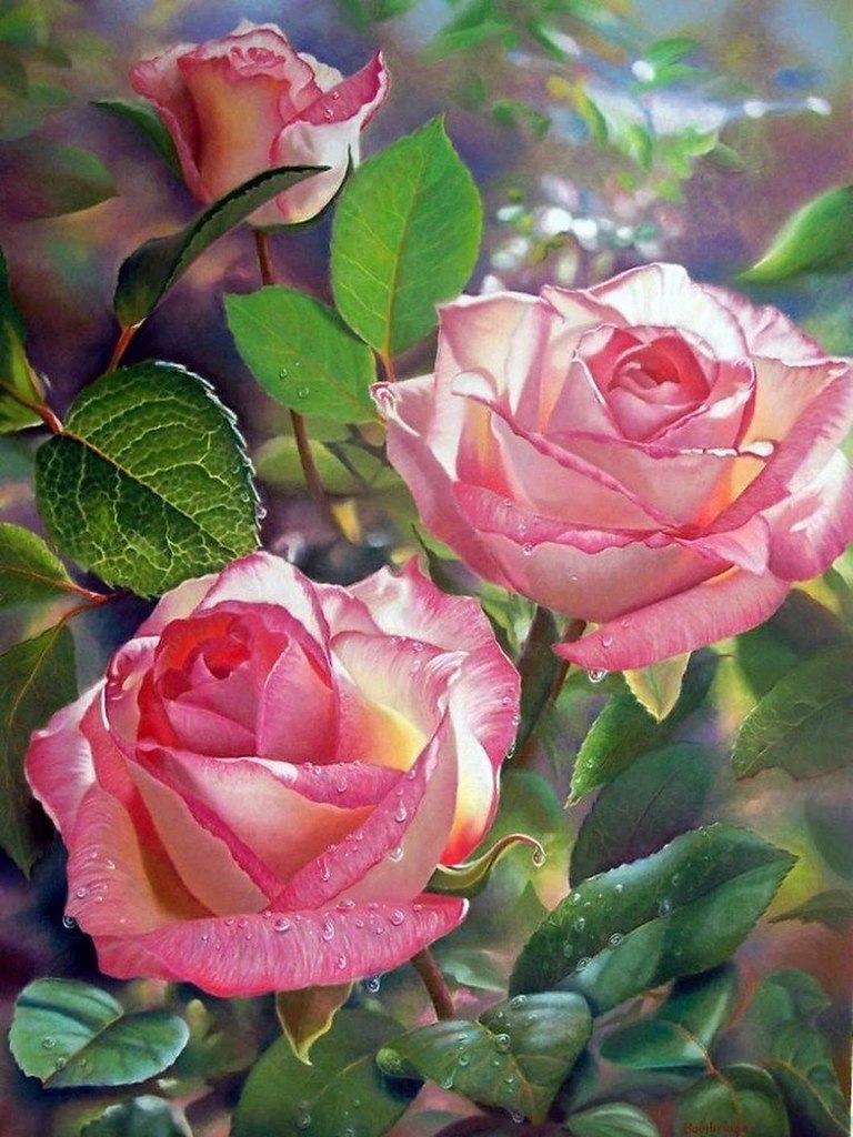 �������� Maureen Bainbridge