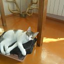 ���� �����, ����������, 41 ��� - ��������� 23 ���� 2016 � ������ ���� ����������