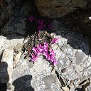 ���� �������, �����, 49 ��� - ��������� 16 ����� 2016 � ������ ���� ����������