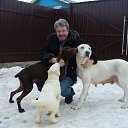 ���� �������, �����-���������, 68 ��� - ��������� 14 ������ 2016 � ������ ���� ����������