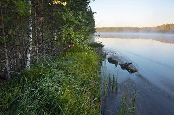 Рытовский кордон, Верхнекамский район, Кировская область. Россия - 6