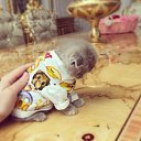 ���� Kira, ��������, 45 ��� - ��������� 23 ���� 2016 � ������ ���� ����������