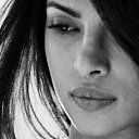 ���� ������, ������� - ��������� 31 ������� 2016 � ������ ���� ����������