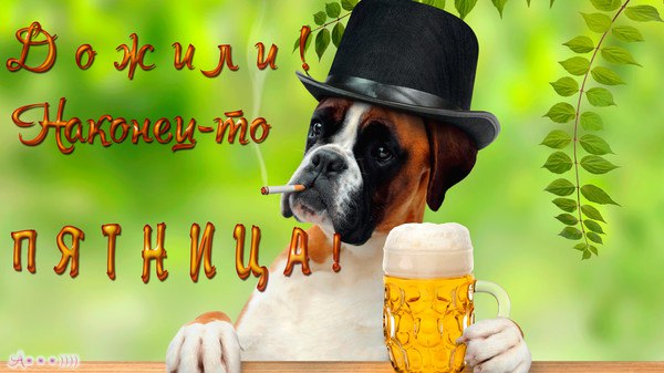 Anett - 22  2016  14:21