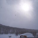 ���� ������, �������������-����������, 54 ���� - ��������� 23 ���� 2016 � ������ ���� ����������