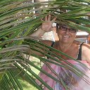 ������ 2017� �� ������� ���������� ����..�