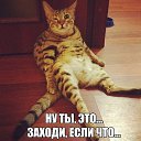 ���� �����, �����, 57 ��� - ��������� 20 ������� 2016 � ������ ������ ��������