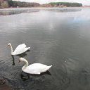 ������� ���� �� ������� ���� ����������